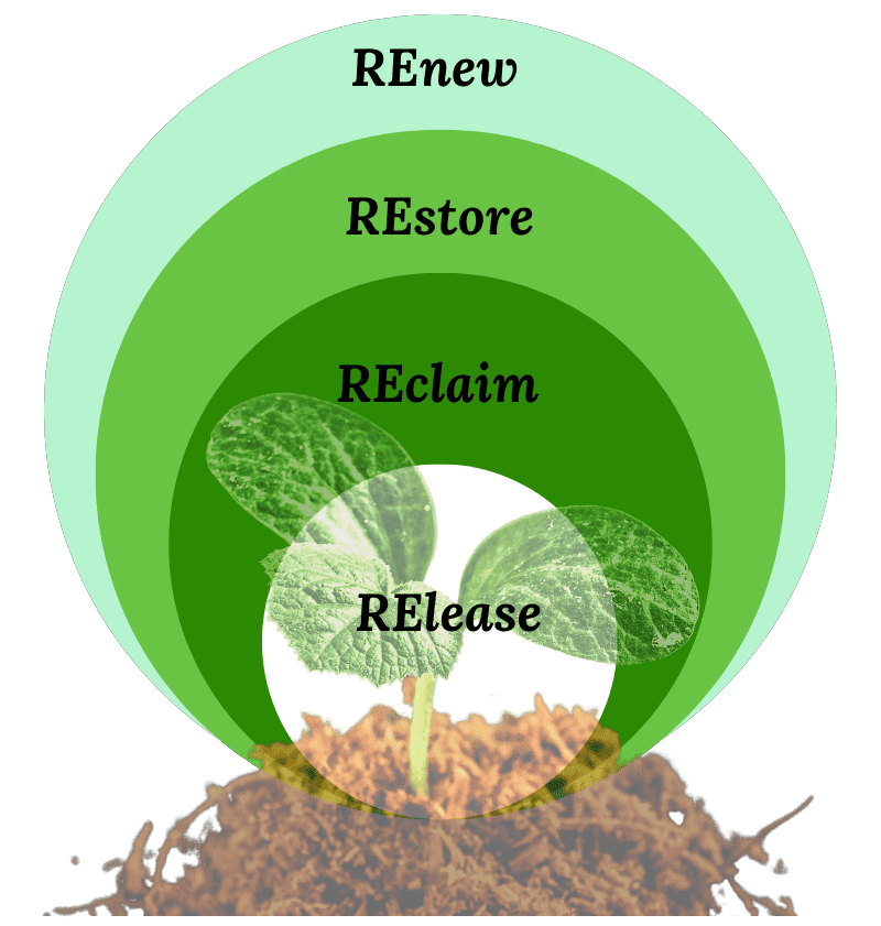Infographic showing a growing seedling - Renew, Restore, Reclaim, Release
